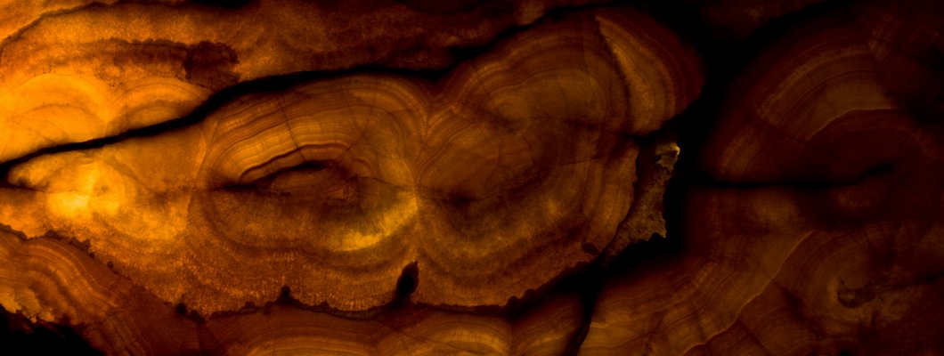 Piękno ukryte w naturze